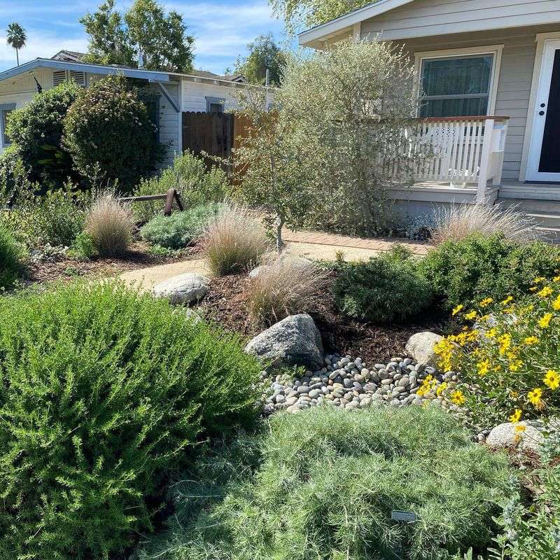 Mulched Native Plant Borders