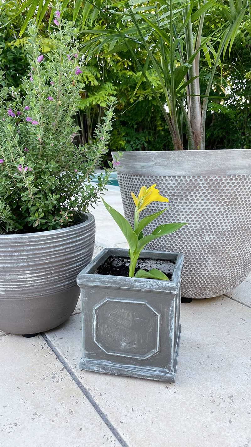 Painted Garden Accessories