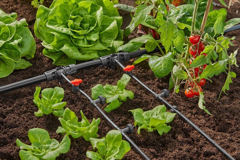 Install Drip Irrigation