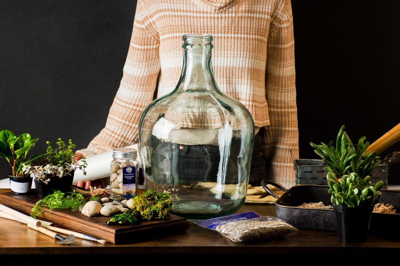 Terrarium-Style Enclosed System