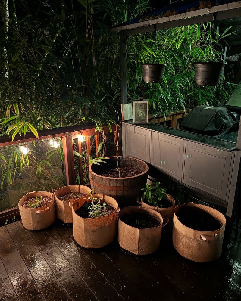 Expand with Edible Landscaping