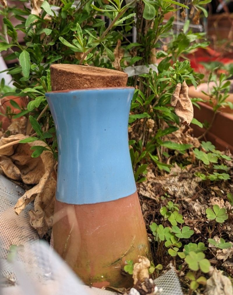 Buried Clay Pot Irrigation