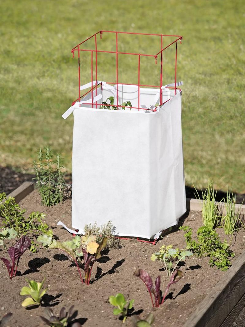 Create Wind Protection