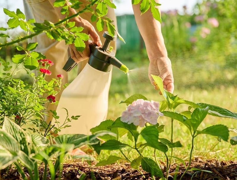 Eliminate Pesticide Use In Your Garden