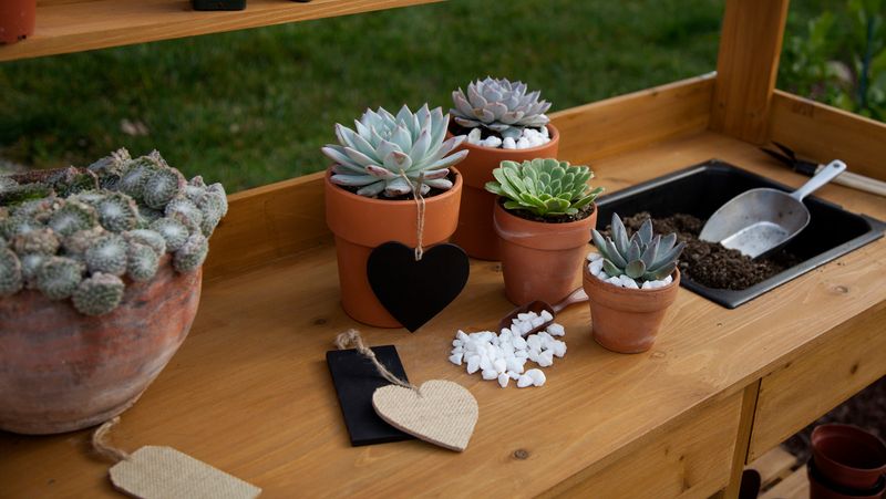 Upcycled Dresser Garden Station