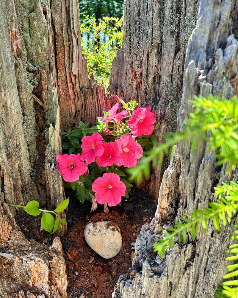 Hollow Log Planters