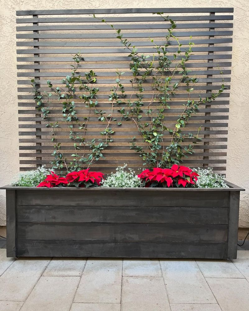 Privacy Screens With Function