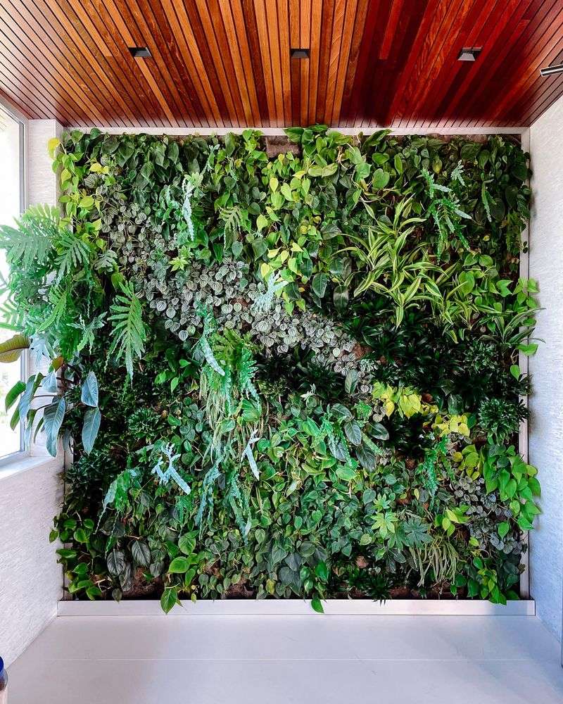 Living Wall Art