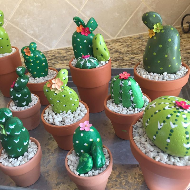 Painted Rock Planters