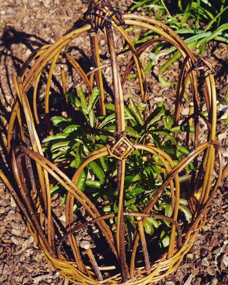 Create Woven Willow Supports