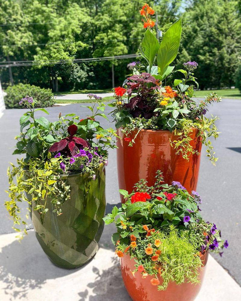 Refresh Container Gardens With New Plantings