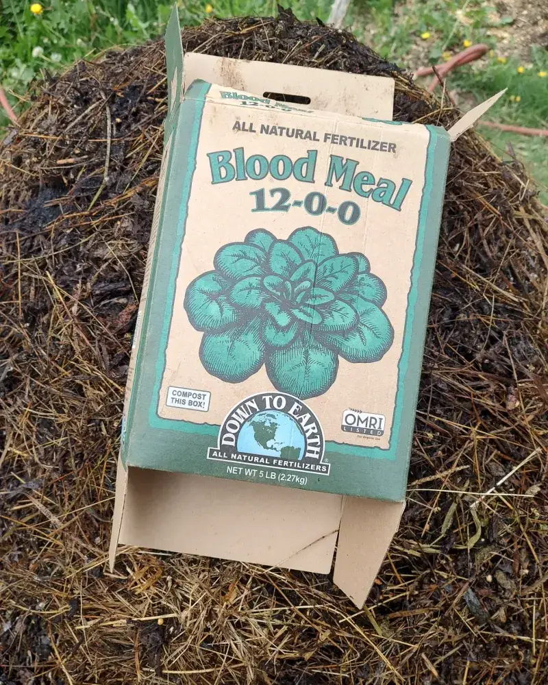 Utilize Blood Meal Fertilizer