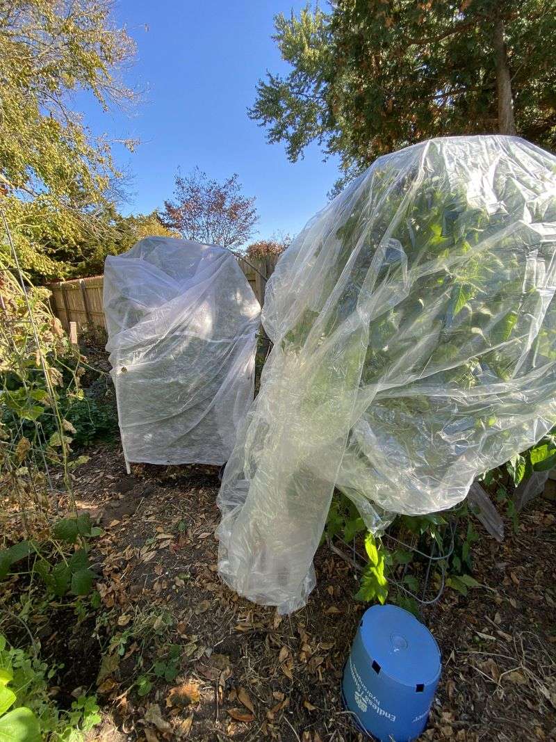 Extend the growing season