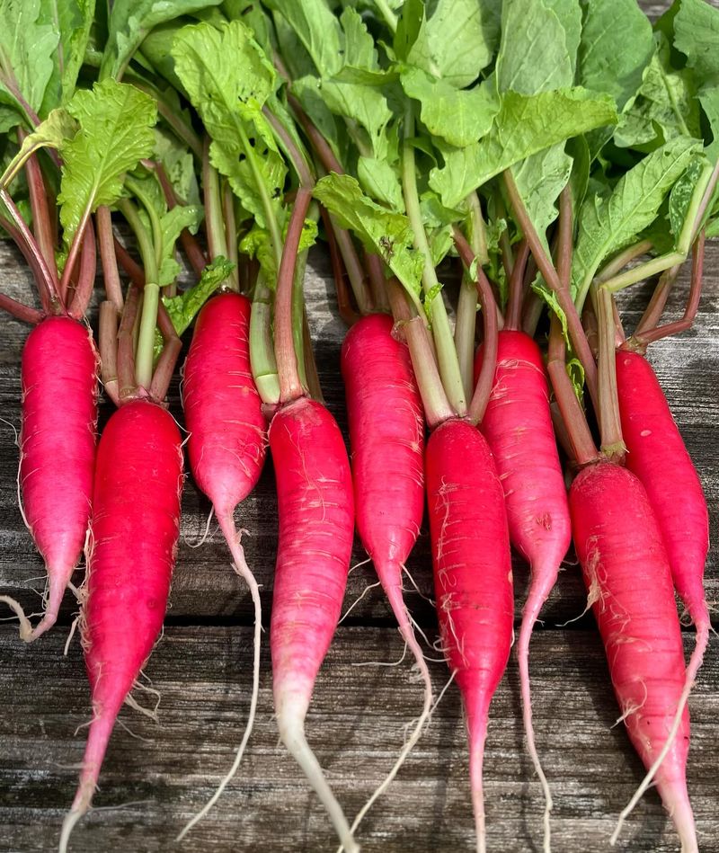 Radishes