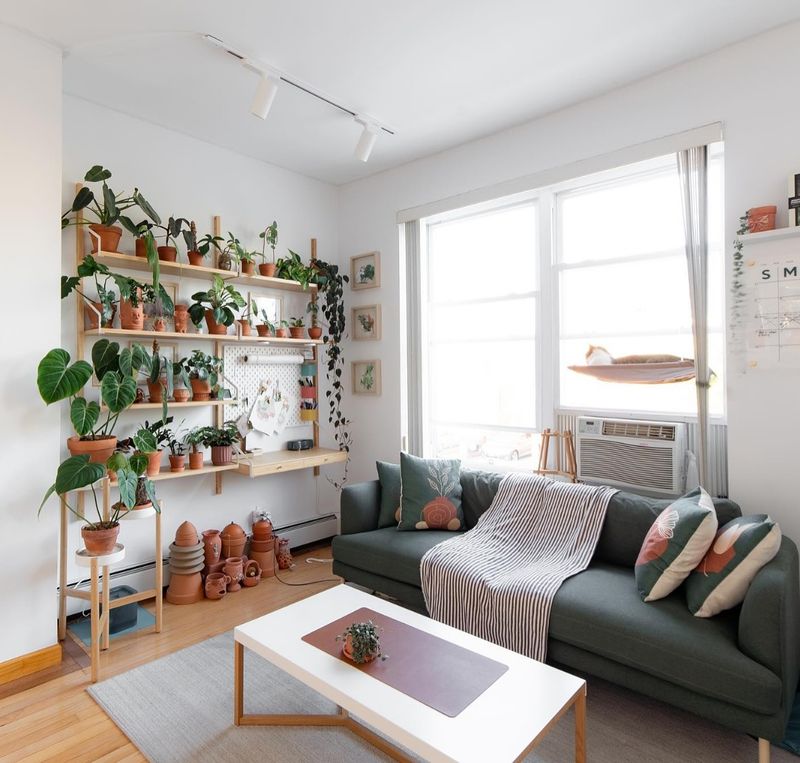 Bookshelf Herb Garden