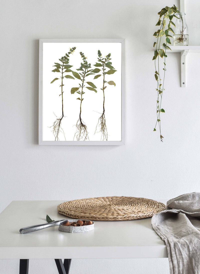 Pressed Flower Crafting