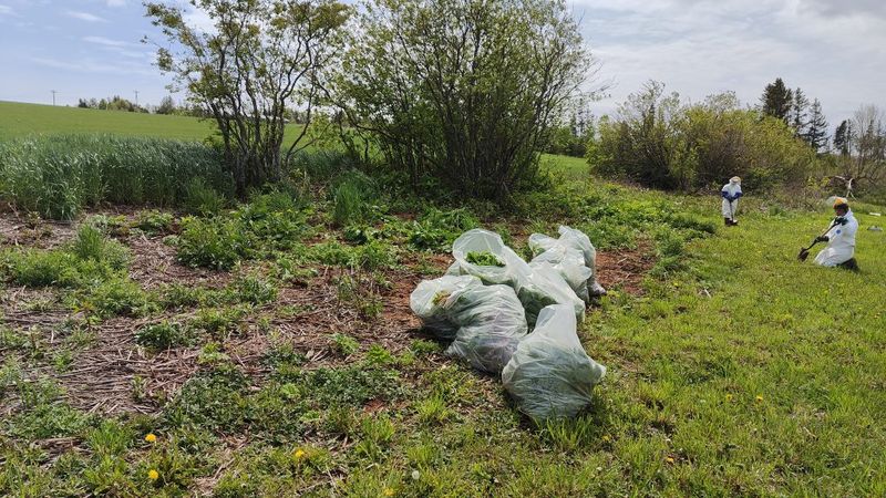 Proper Disposal Challenges