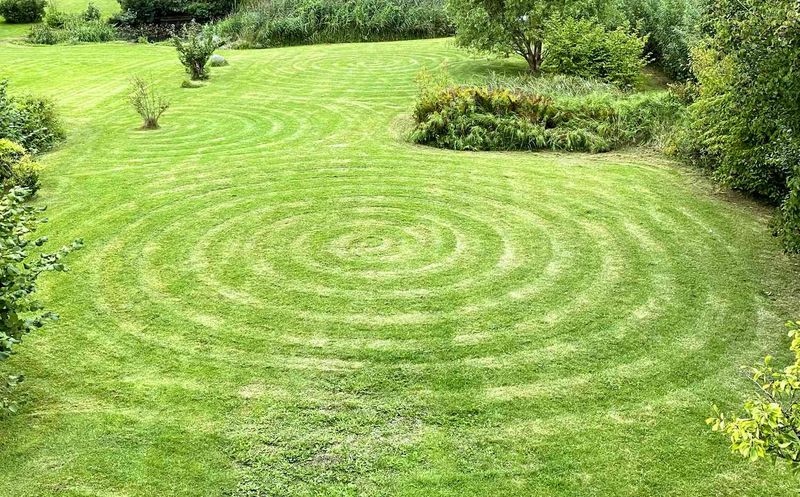 Concentric Squares