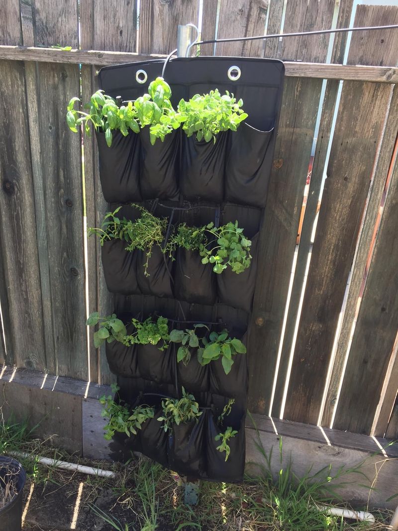 Upcycled Shoe Organizers for Small Plants