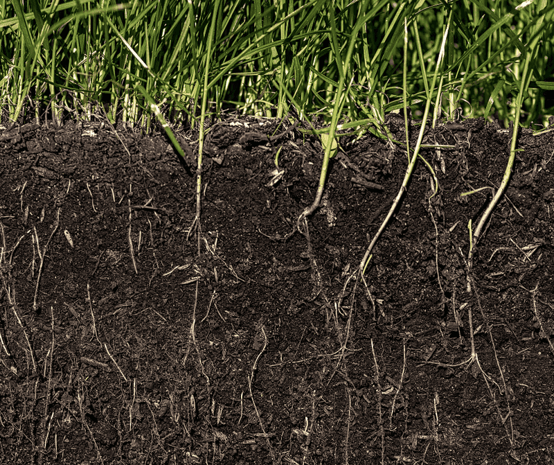 Chemical Lawn Starter Fertilizers