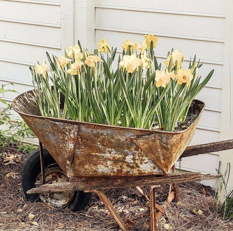 Wheelbarrows