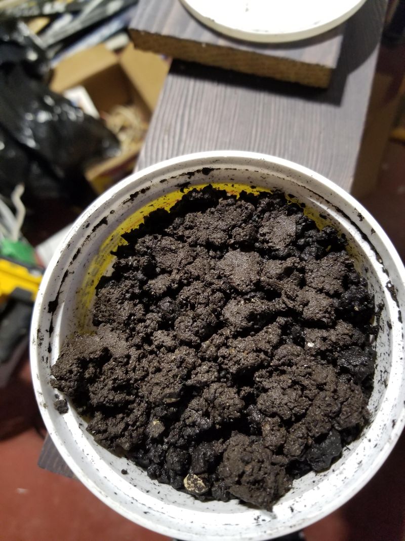 Worm Castings