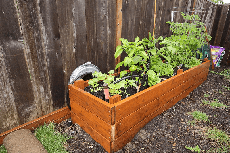 Match Depth to Root Systems