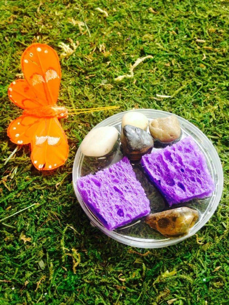 Sponge Water Feeder