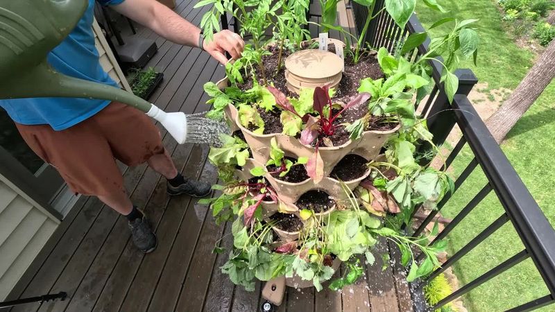 Vertical Beet Tower