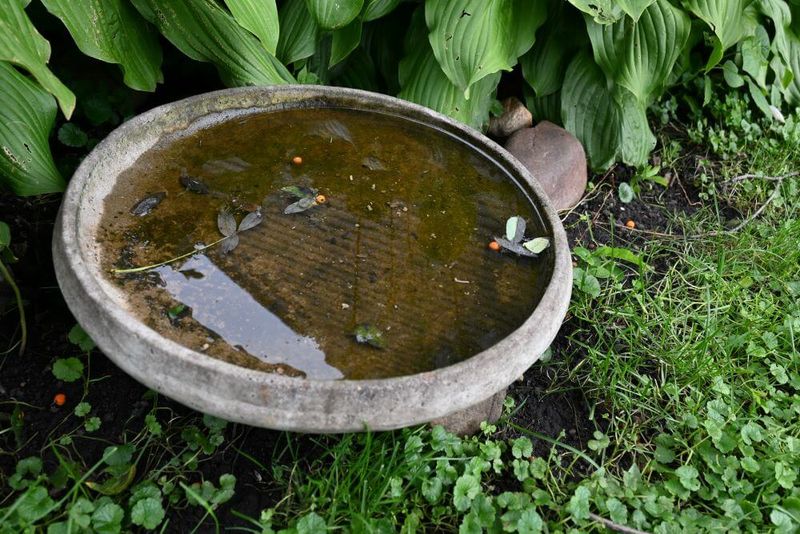 Poor Water Quality