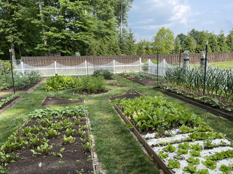 Creating Tiny, Scattered Beds