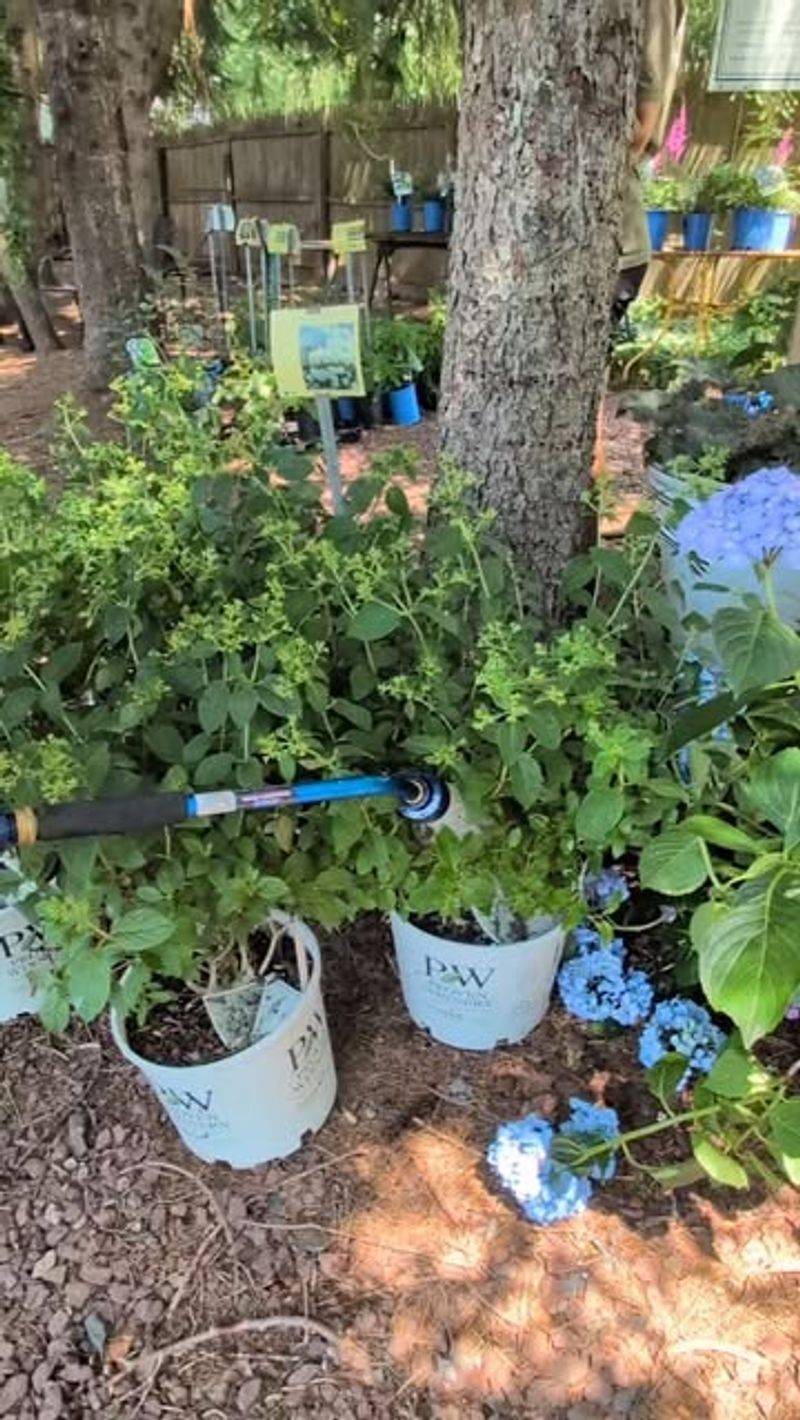 Watering Indiscriminately
