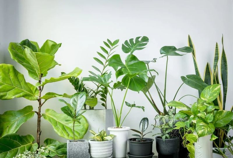 Encourage Air Circulation
