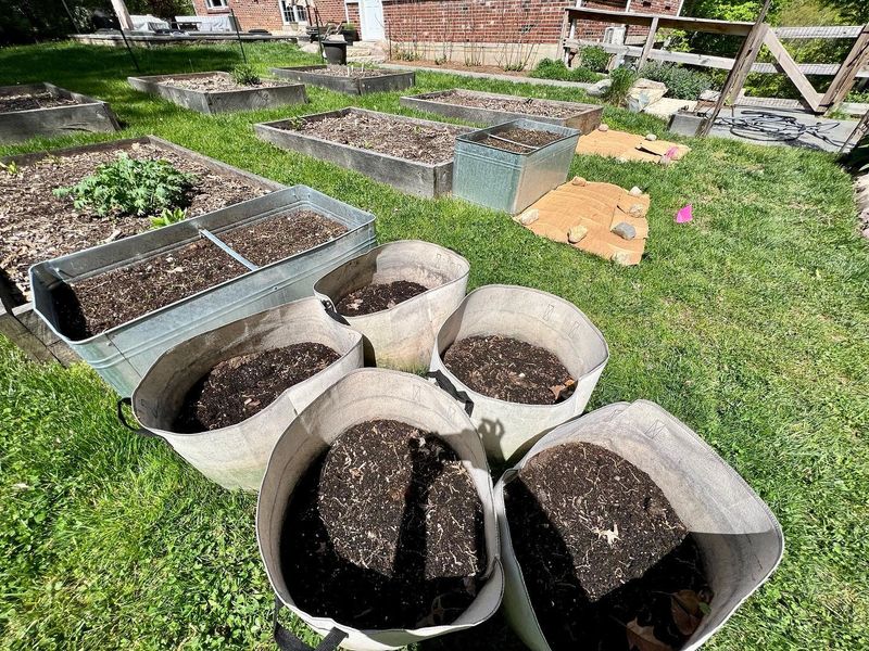Apply Mulch Strategically