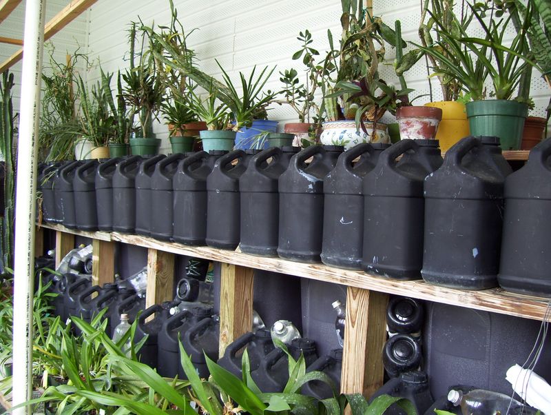 Commercial Greenhouse Heaters vs. Passive Solar Methods