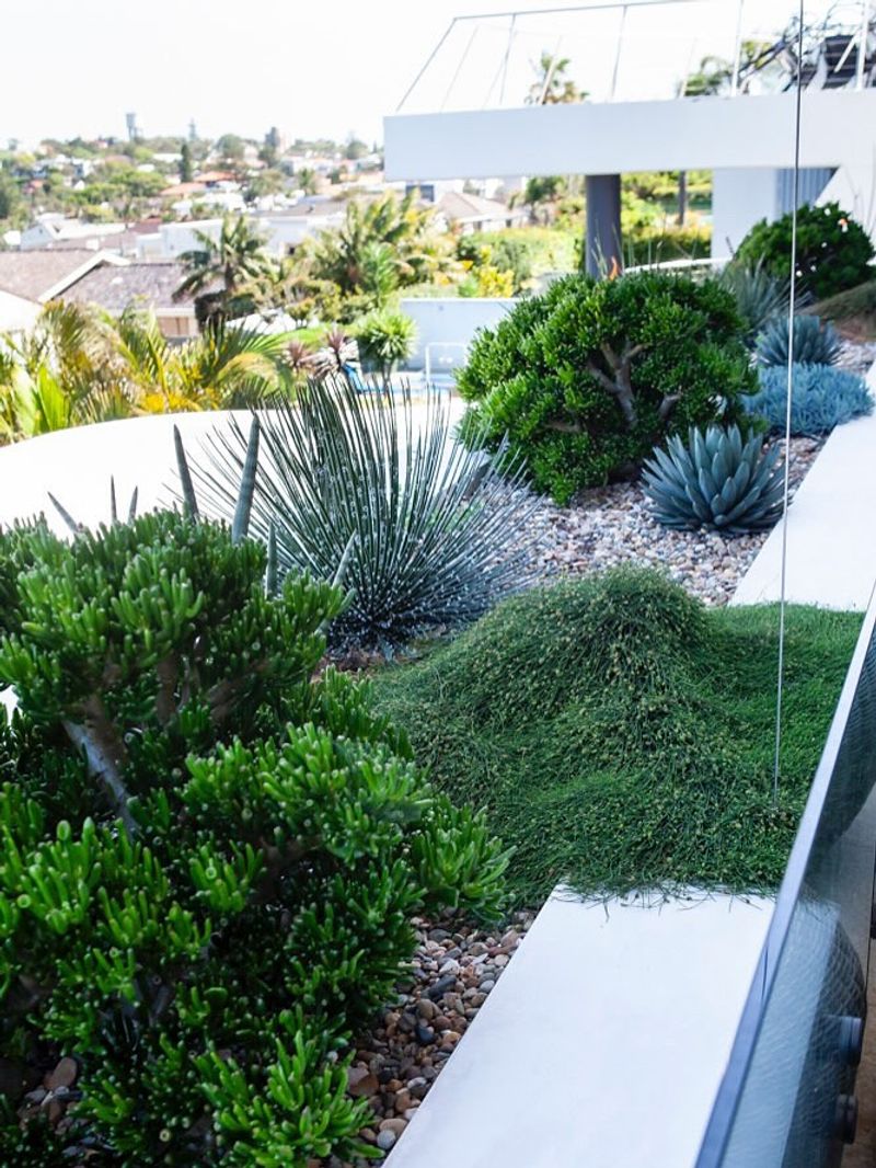 Trendy Plant Selections
