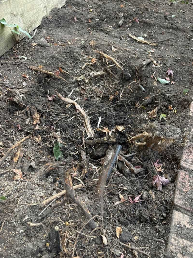 Neglecting root removal