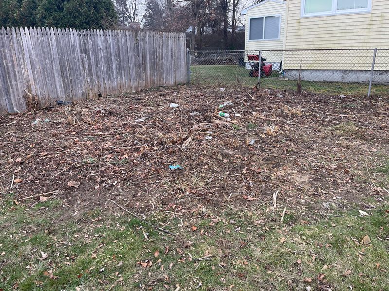 Neglected Seasonal Cleanup