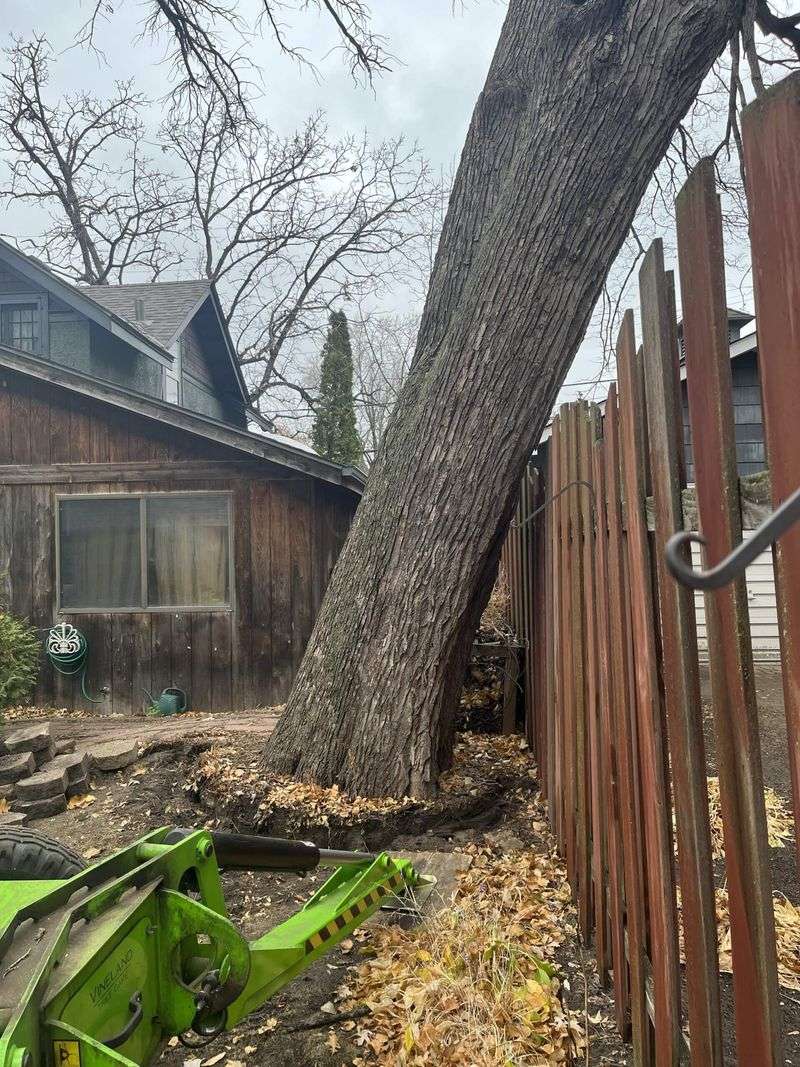 Against A Fence Or Property Line