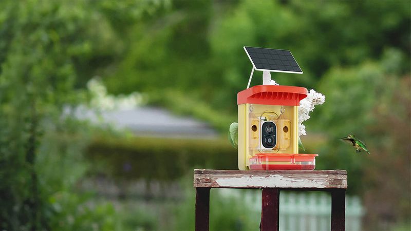 AVOID: Near Outdoor Fans