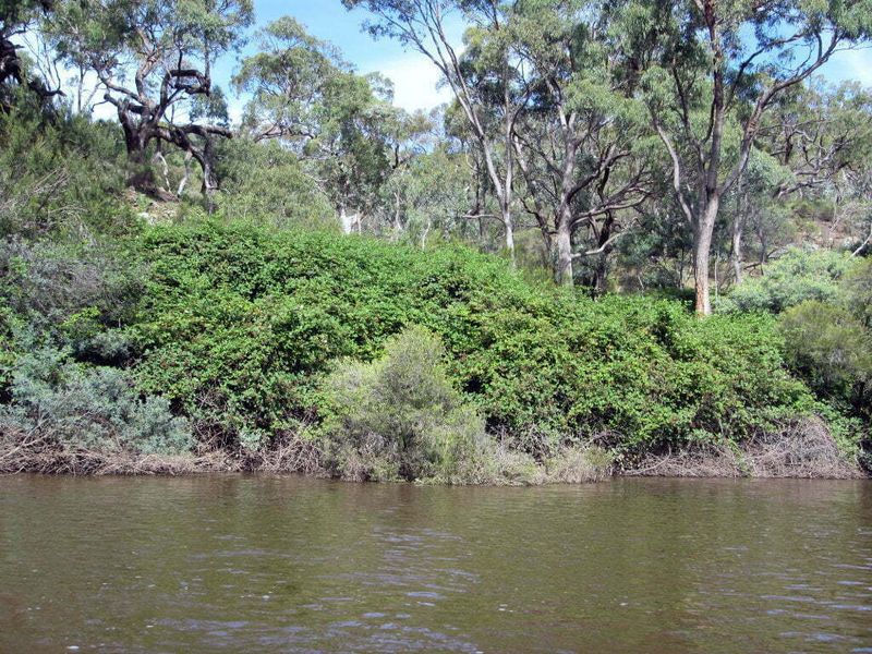 Blocks Access to Waterways