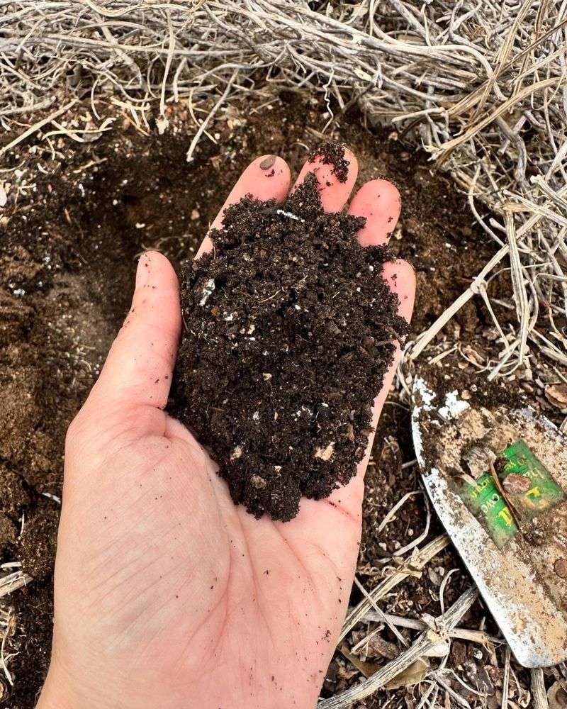 Homemade Compost