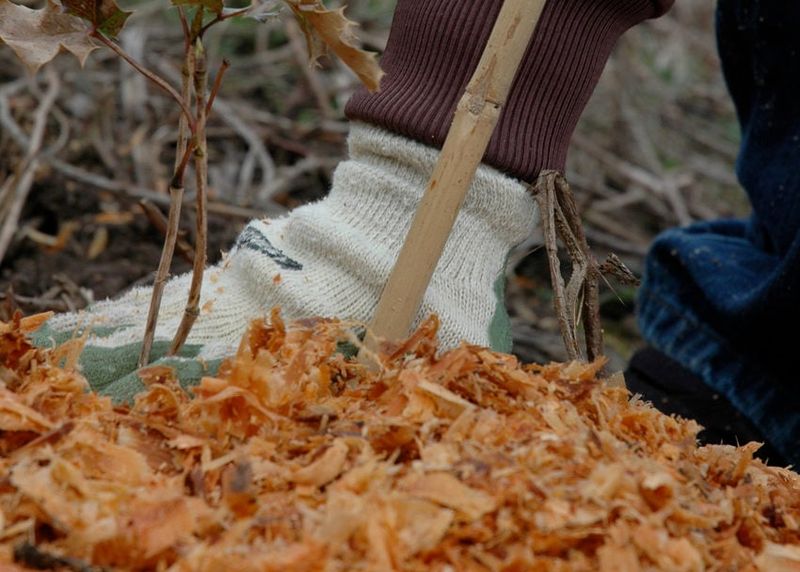Create a Mulch Island