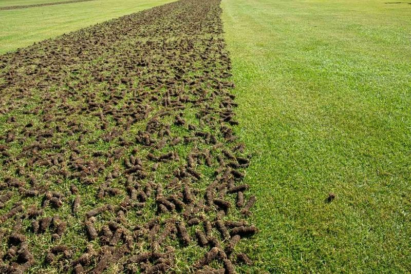 Aerate Your Soil Regularly