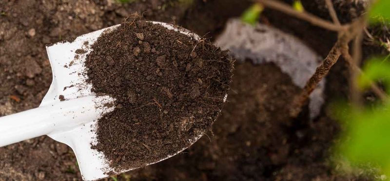 Add Organic Matter to Clay Soils