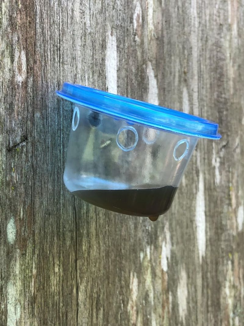 Apply Predator Urine