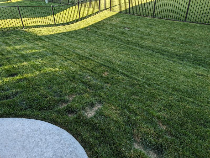 Add a Swale