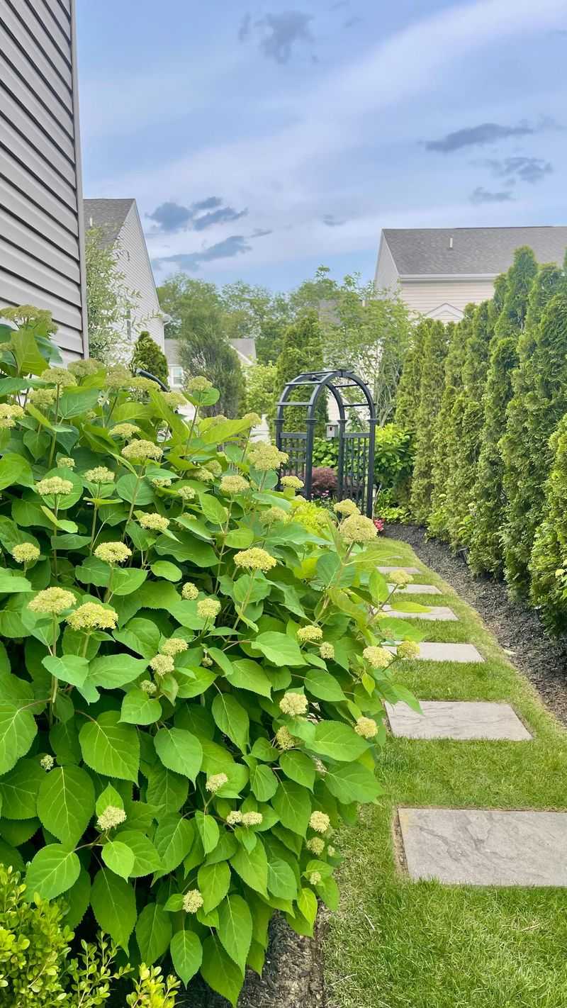Natural Privacy Screen