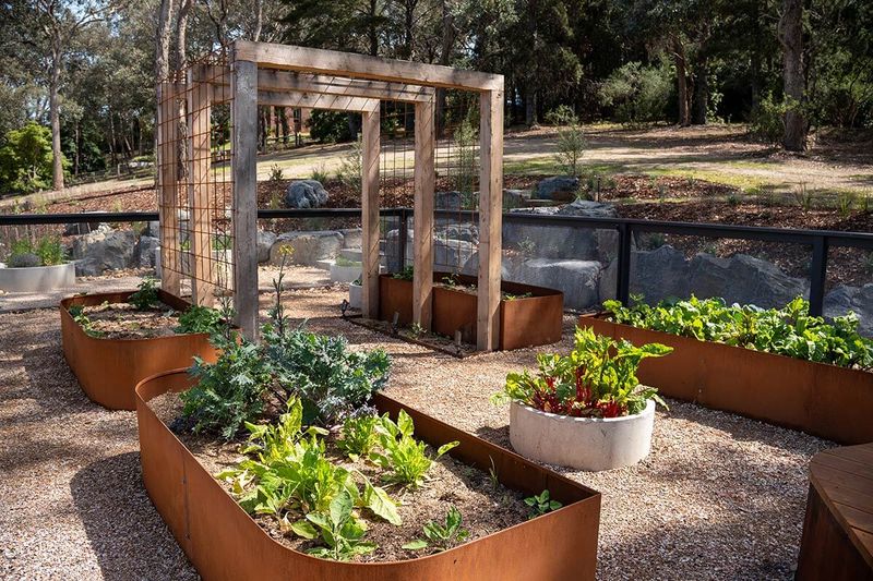 Large-Scale Vegetable Gardens in Front Yards