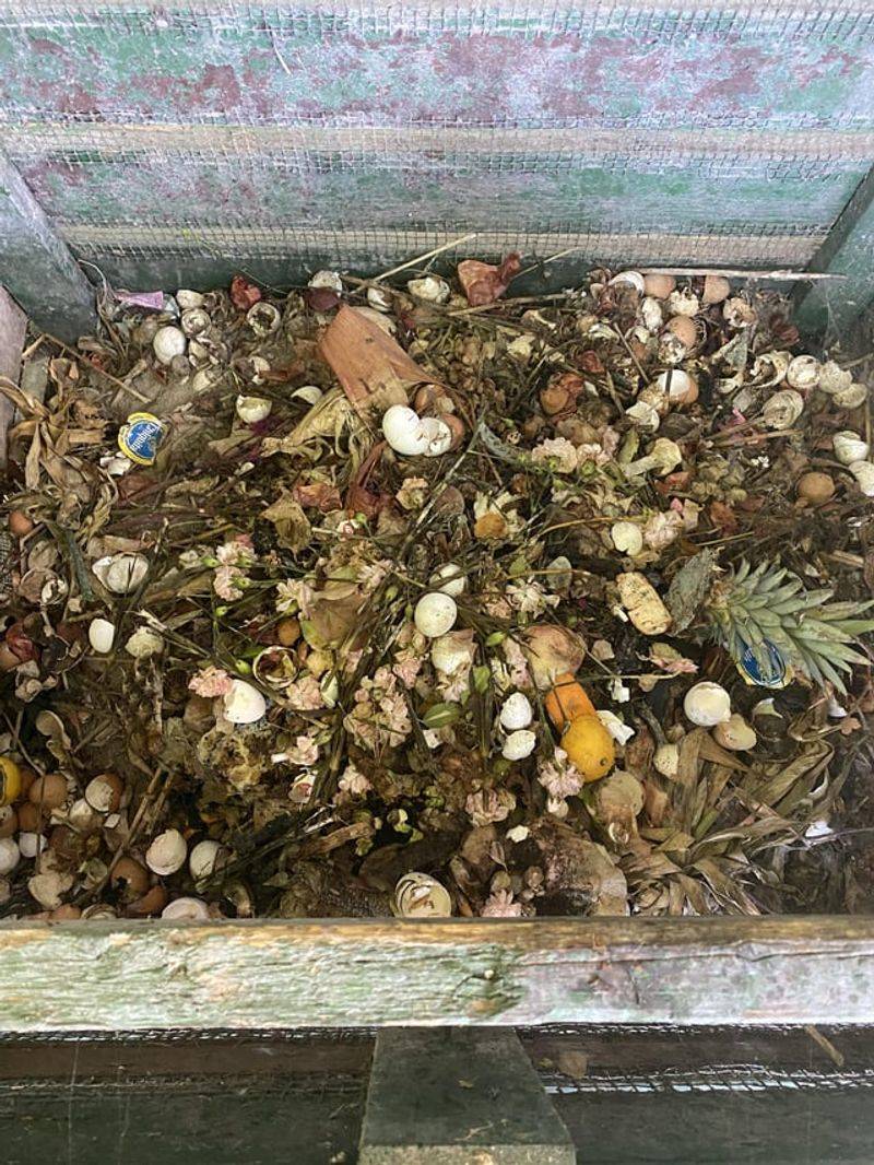 Rotting Compost Piles